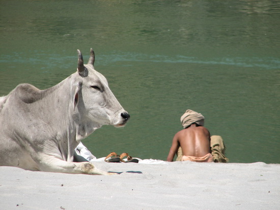 Ganga at Rishikesh