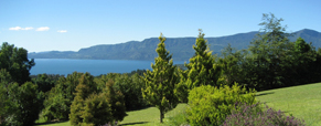 Grateful Snapshots of Osho Sammasati in Chile