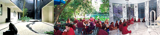 ‘Living In’ Programmes in Pune