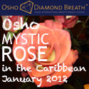 Mystic Rose, Holidays and Meditation in the Caribbean