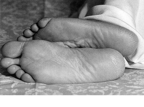 055 Osho's feet