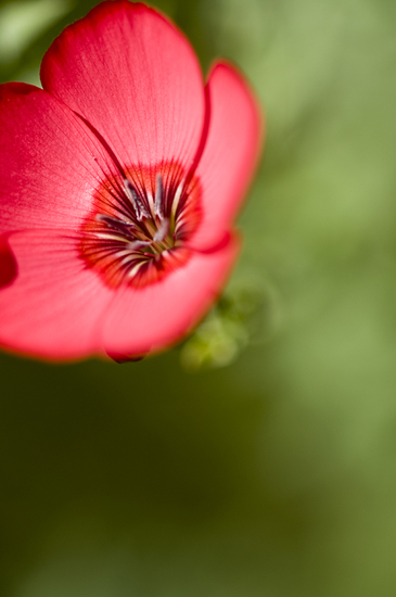 Sundro: The Magic of Photography