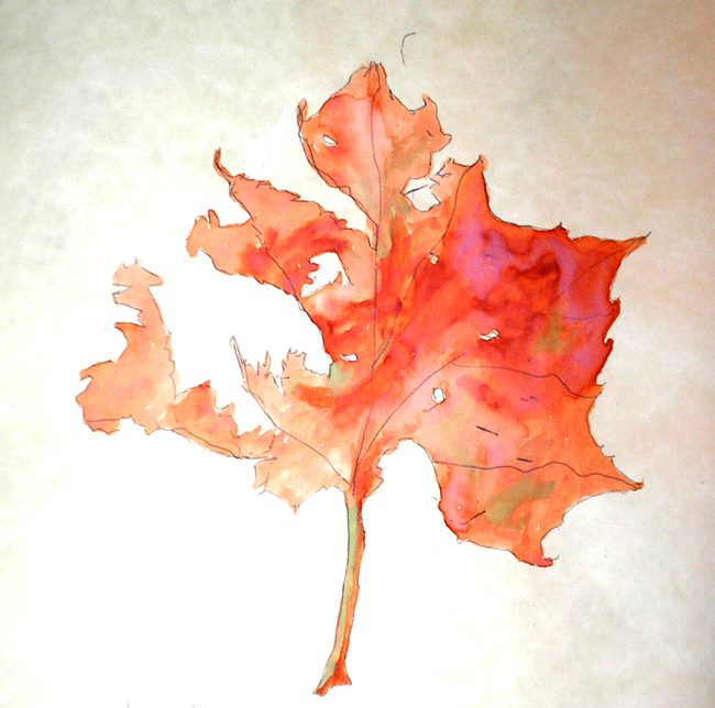 The Book of Leaves