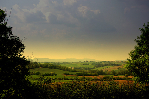 Lanscape near Siena