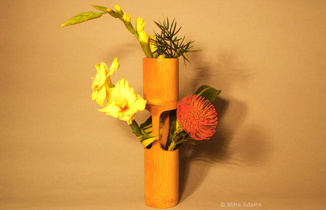 Ikebana in Boulder