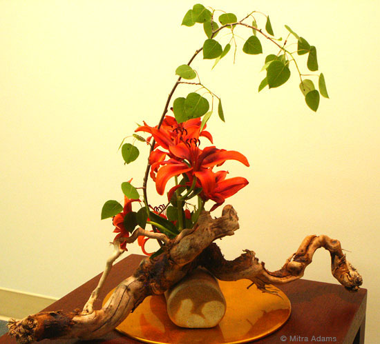 037ikebana