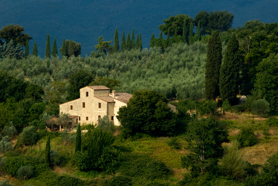 Farm in Radicondoli
