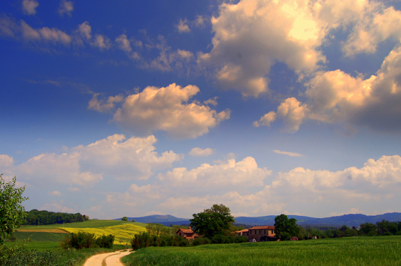 Muni: Open spaces and great silence