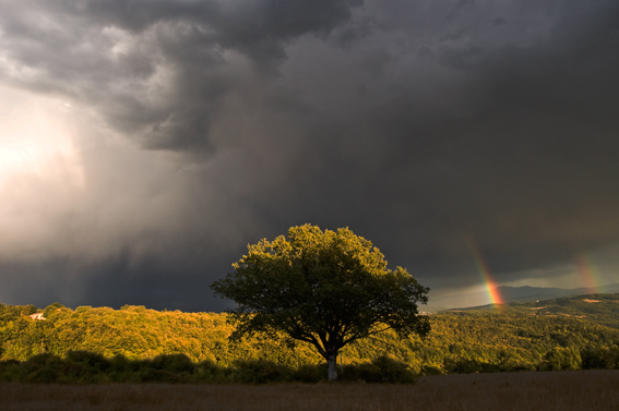 Rainbows