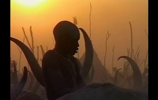 Dinka: Legendary Cattle Keepers of Sudan