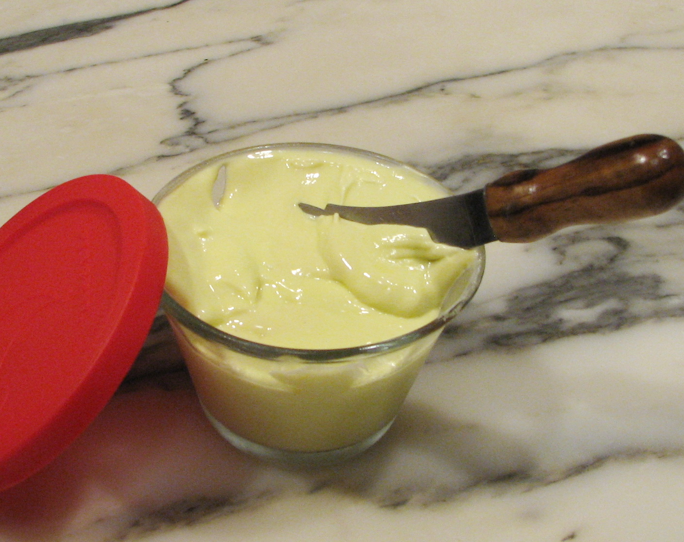 Homemade Mayonnaise