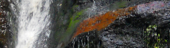 waterfall by Maneesha