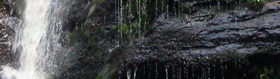 waterfall by Maneesha