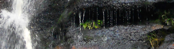 waterfall by Maneesha