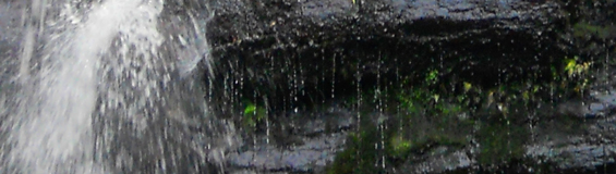 waterfall by Maneesha