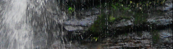 waterfall by Maneesha