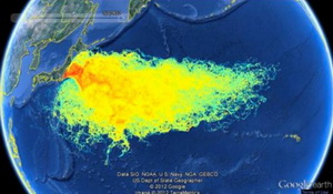 Japan without Nuclear Power