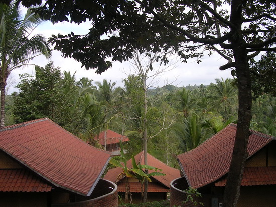 View from the top