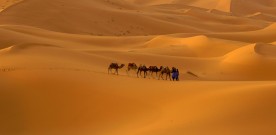 Dervish Dream