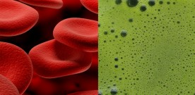 Mysterious Blood and Green Juices