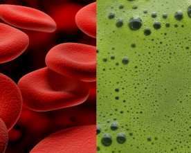 Mysterious Blood and Green Juices