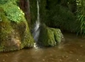 The Zen Way