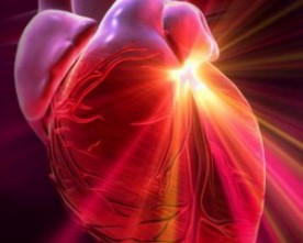 Science of the Heart