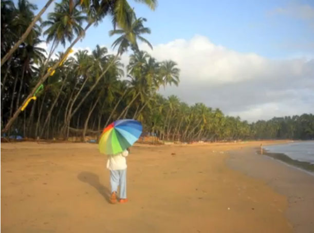 Monsoon Winds