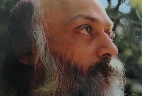 Osho Gazing Up