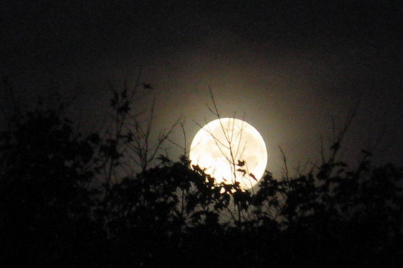 Full Moon Assam Times