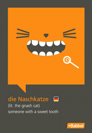 03_naschkatze_v2