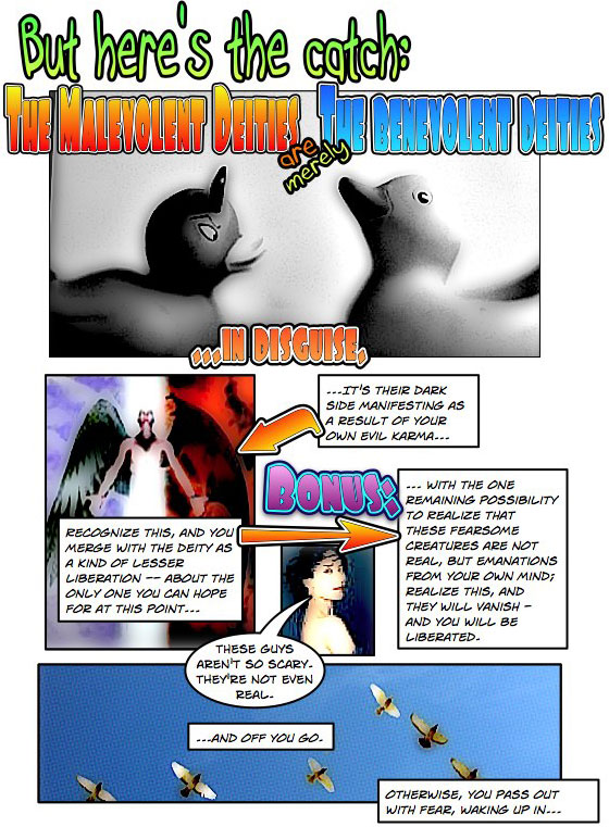 Page_14-560