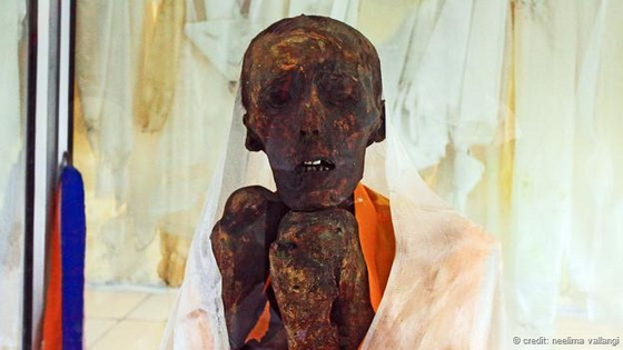 Mummy