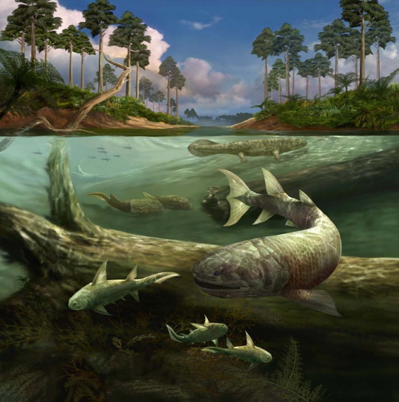 Devonian period