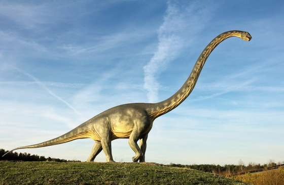 Diplodocus