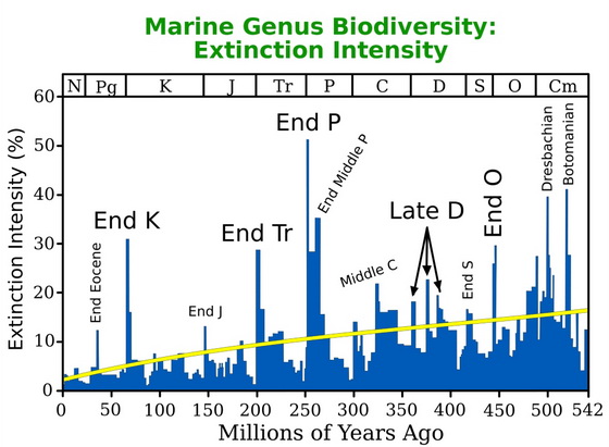 Marine Genus Biodiversity