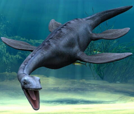 Plesiosaur