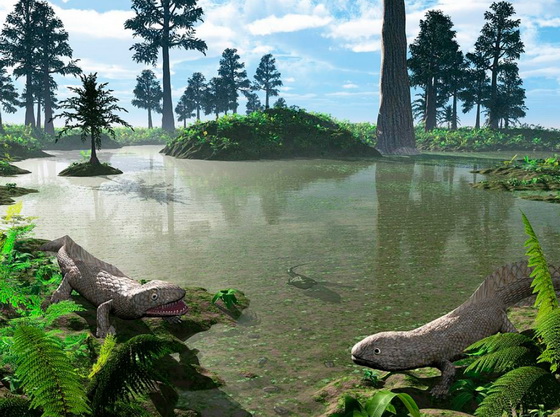Prehistoric pond