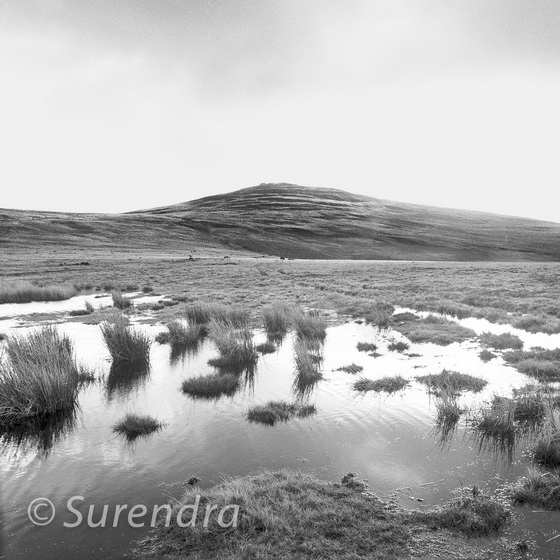 Black Down, Dartmoor, UK