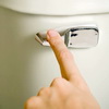 Flushing toilet
