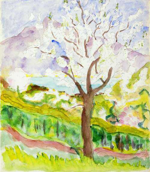 Kirschbaum Hermann Hesse