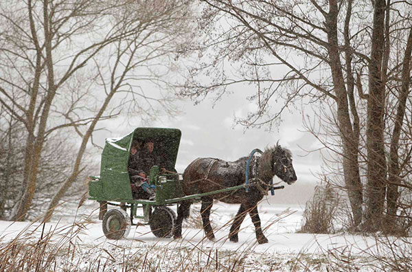 Horsecart