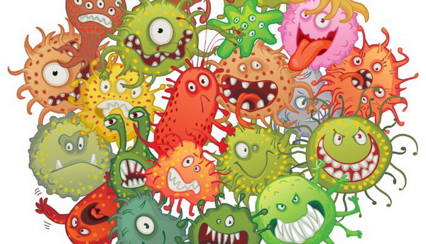 Bacteria