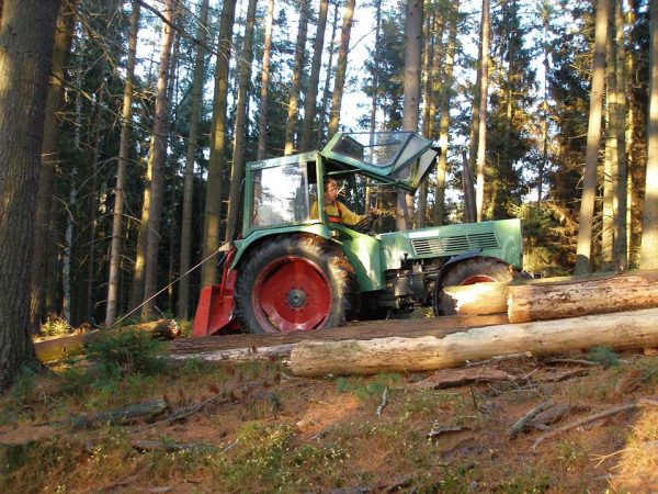 Niranjano clearing dead wood at Oshostadt