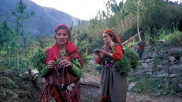 Women working