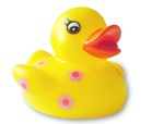 rubber duck