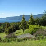 Sammasati surroundings