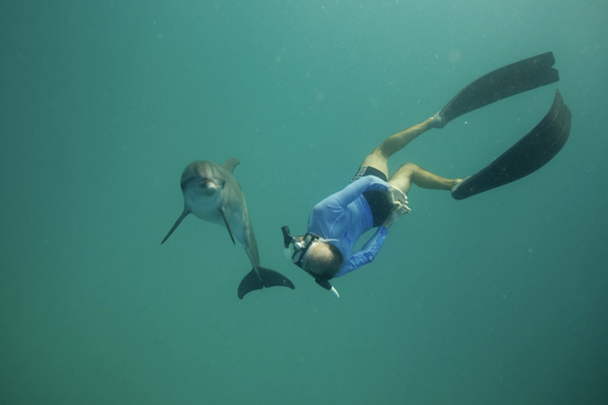 086-wildquest-dolphins