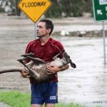 Queensland Floods - The Big Wet [photo by Nick de Villiers, Ipswich]