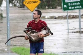 Queensland Floods - The Big Wet [photo by Nick de Villiers, Ipswich]